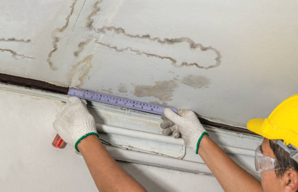 Reliable Water Damage contractor in Richmond, UT by Water Damage Irwin